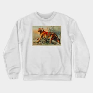 Royal bengal tiger by John Karst Crewneck Sweatshirt